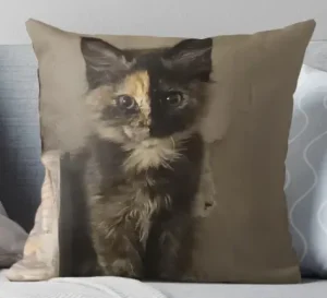 Coussin décoratif beige avec un portrait artistique du chaton écaille de tortue Bulma posé sur un canapé.